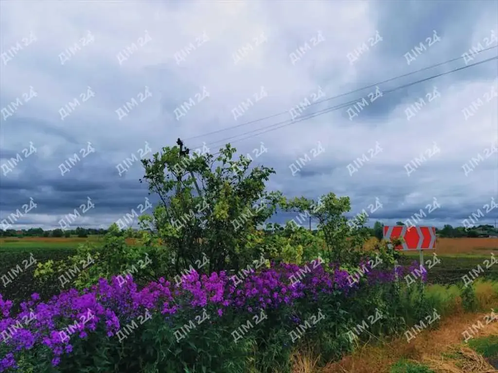 Квартира · 2 кімнати