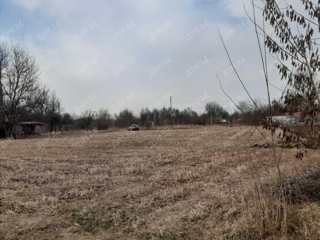 Будинок