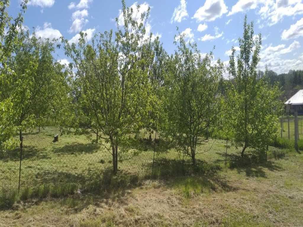 Ділянка