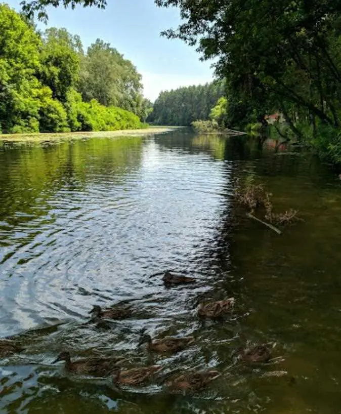 Ділянка — Вакуленці