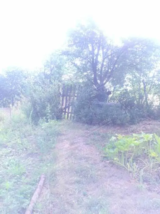 Будинок — Гора