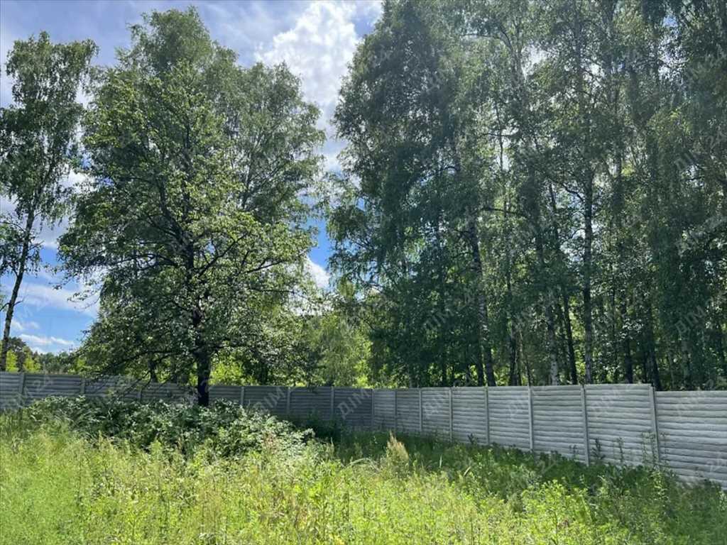 Ділянка — Забаряни