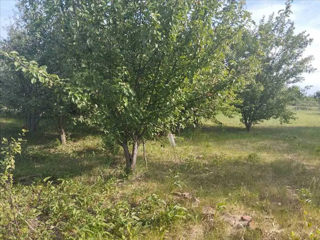 Ділянка — Івонченці