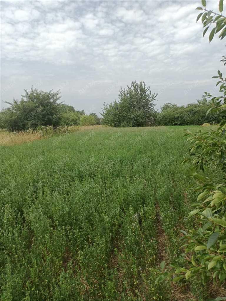Ділянка — Гора