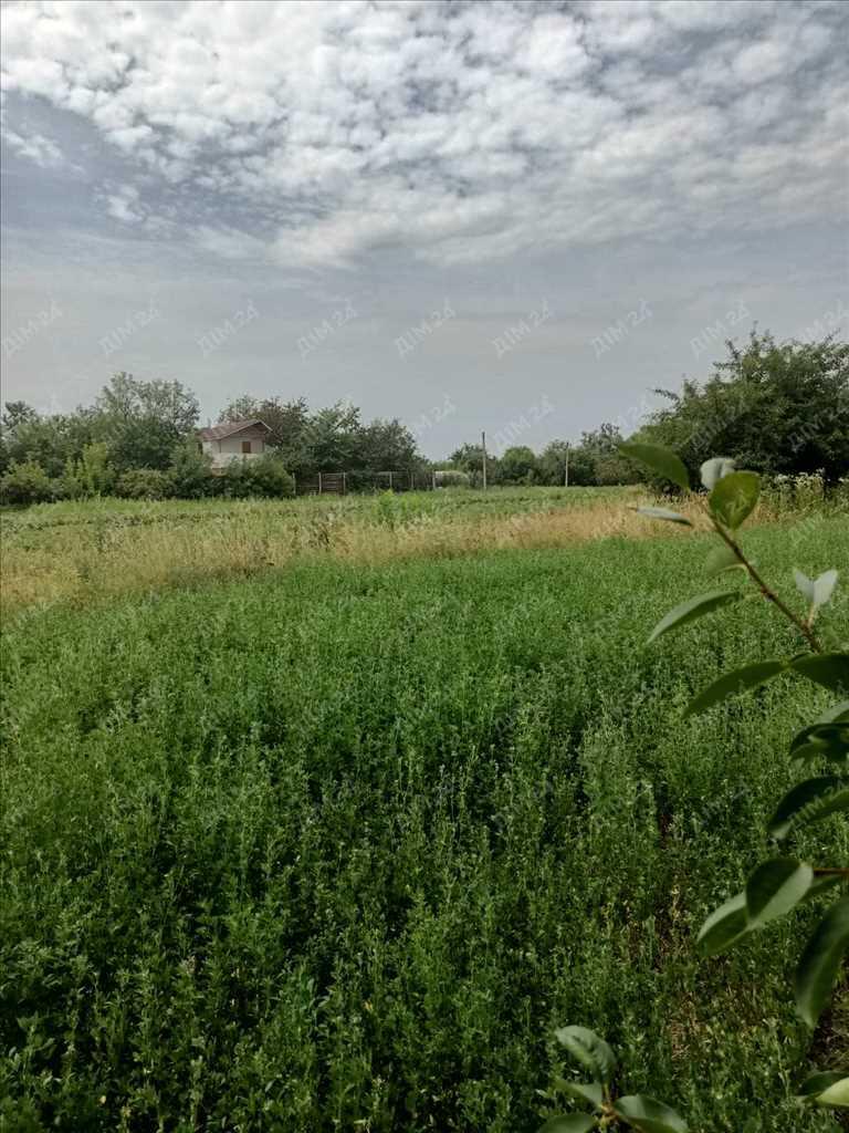 Ділянка — Гора