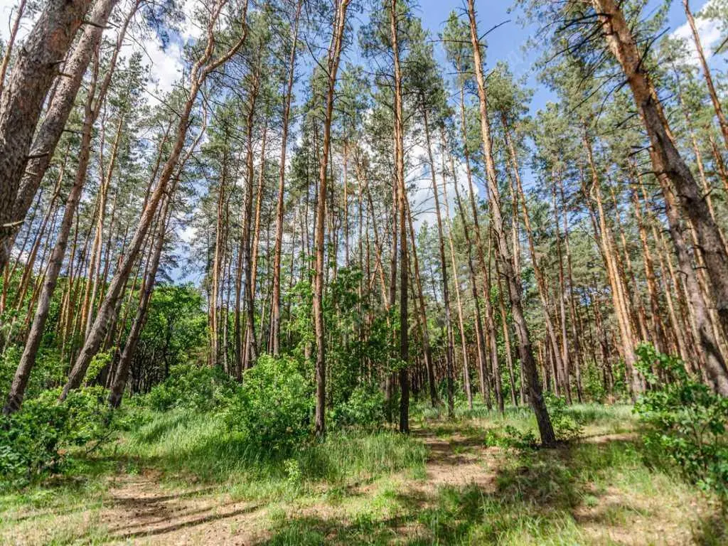 Будинок — Микільське