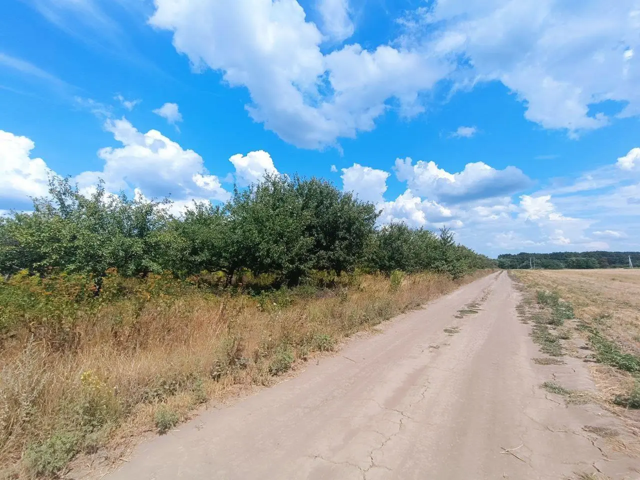 Ділянка