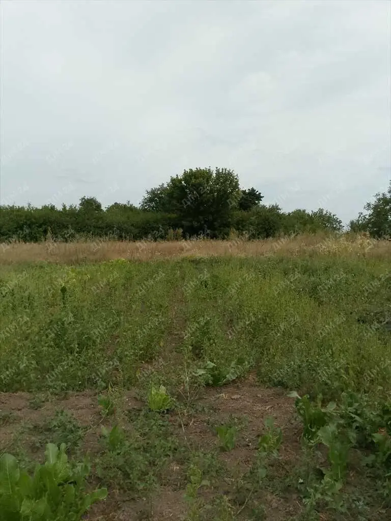 Ділянка