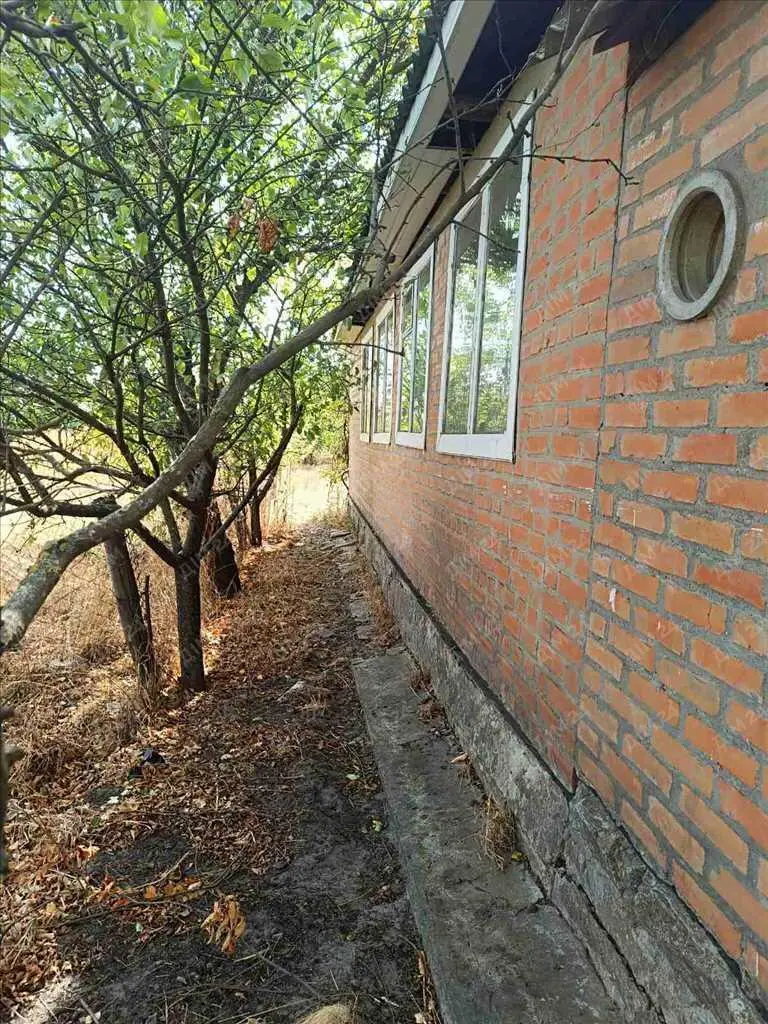 Будинок