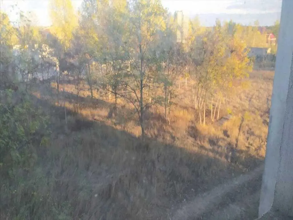 Ділянка — Лісок