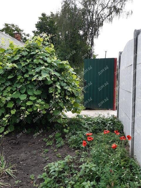 Будинок — Степне