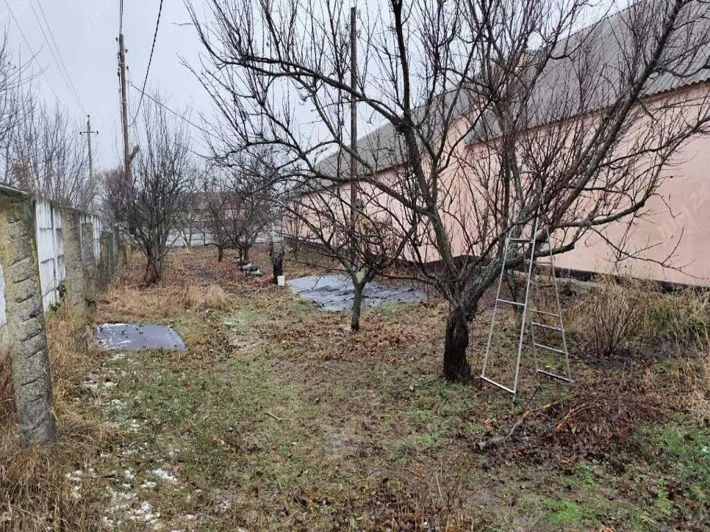 Комерція — Ковалівка