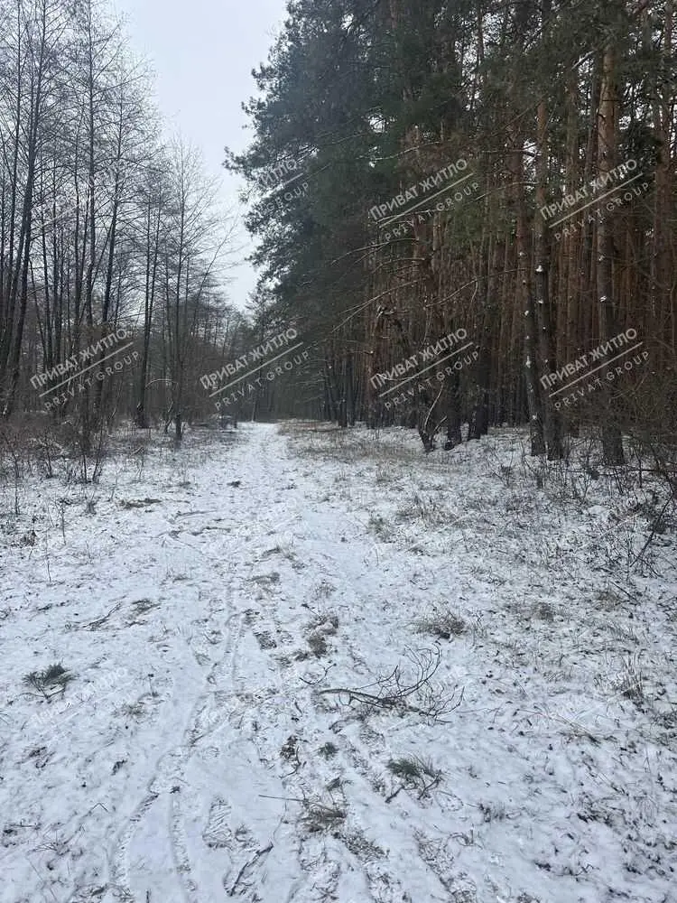 Ділянка — Вакуленці
