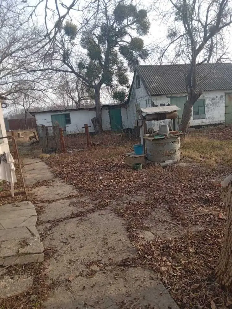 Будинок