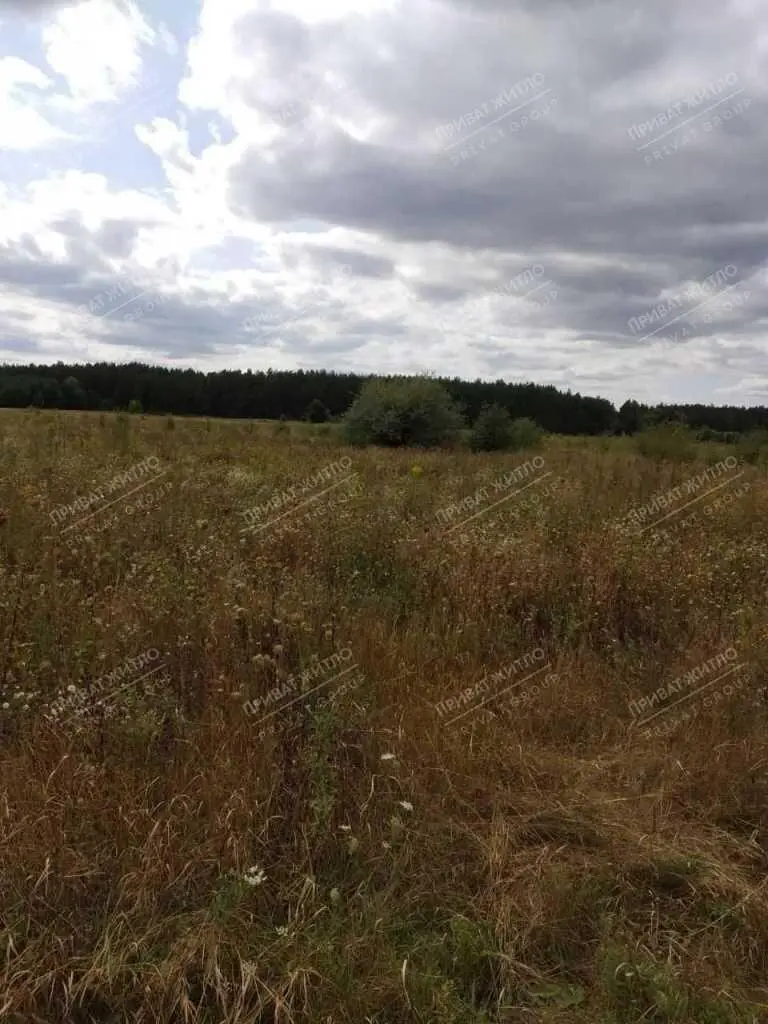Ділянка