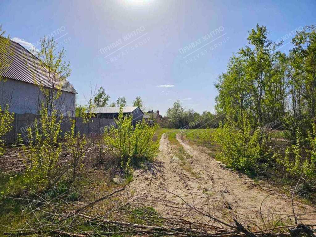 Ділянка — Лісок