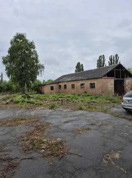 Комерція