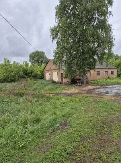 Комерція