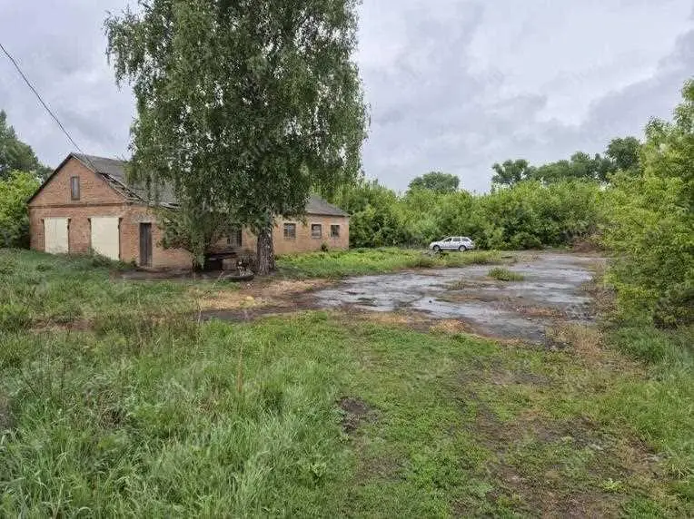 Комерція