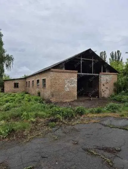 Комерція