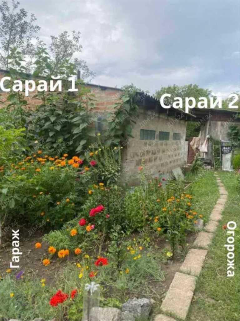 Дача — Рибці