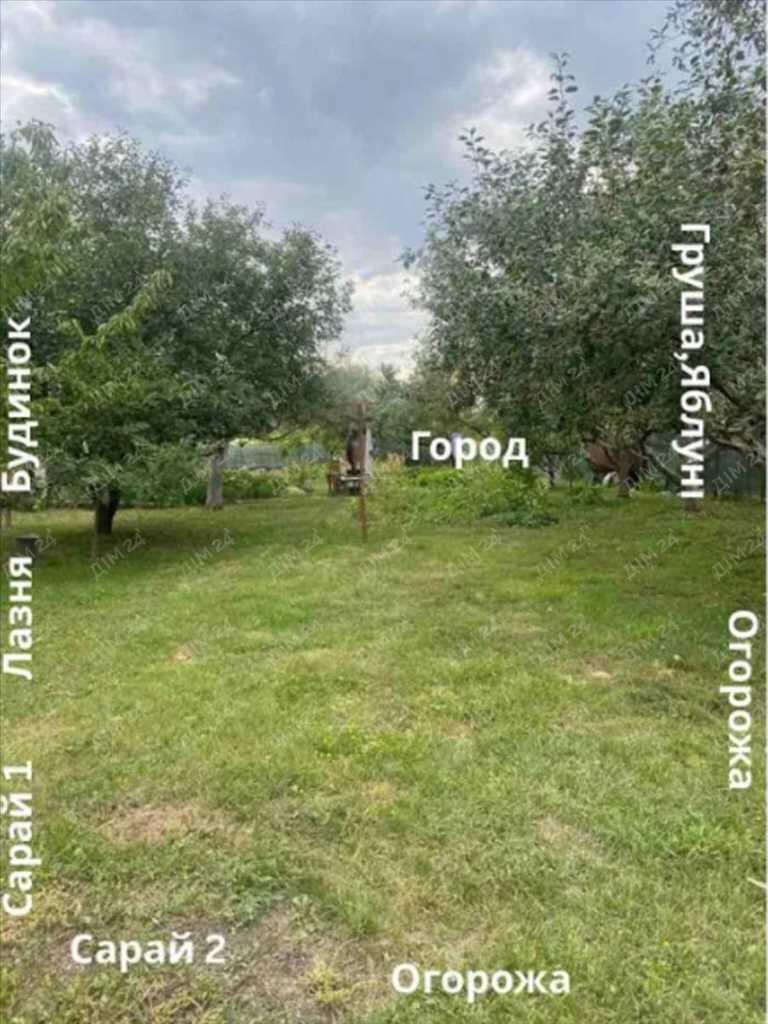 Дача — Рибці