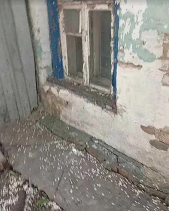 Будинок
