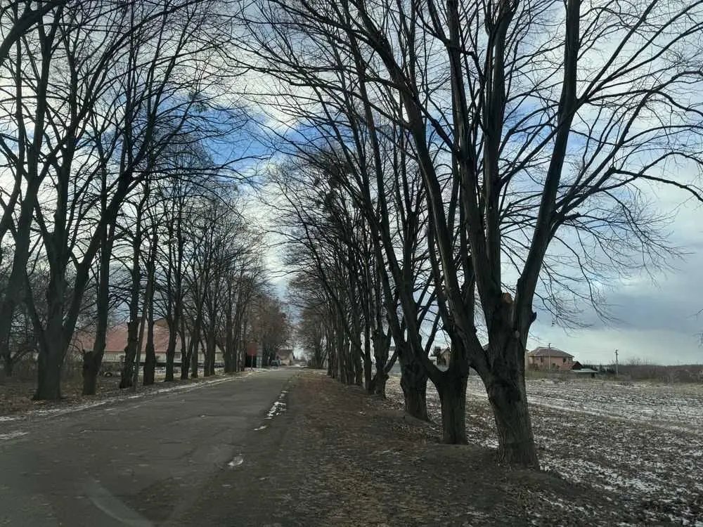 Ділянка