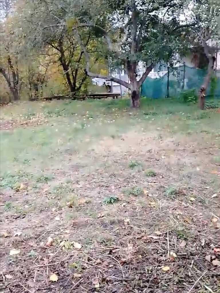 Ділянка