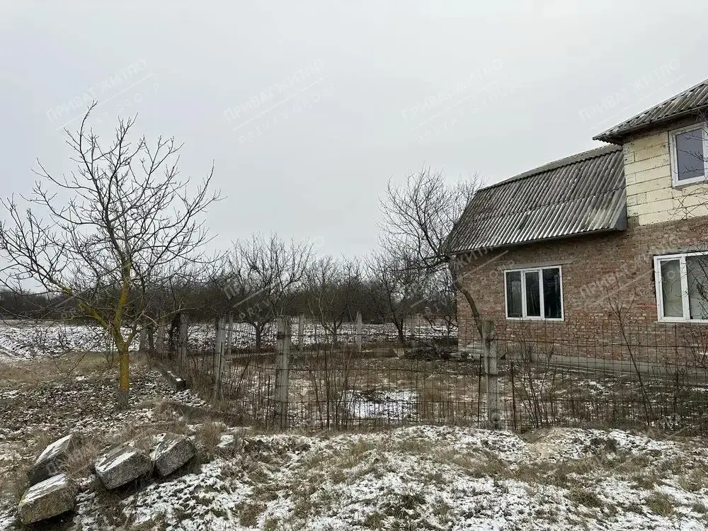 Будинок — Жуки
