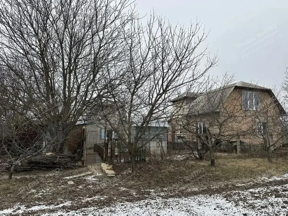 Будинок — Жуки