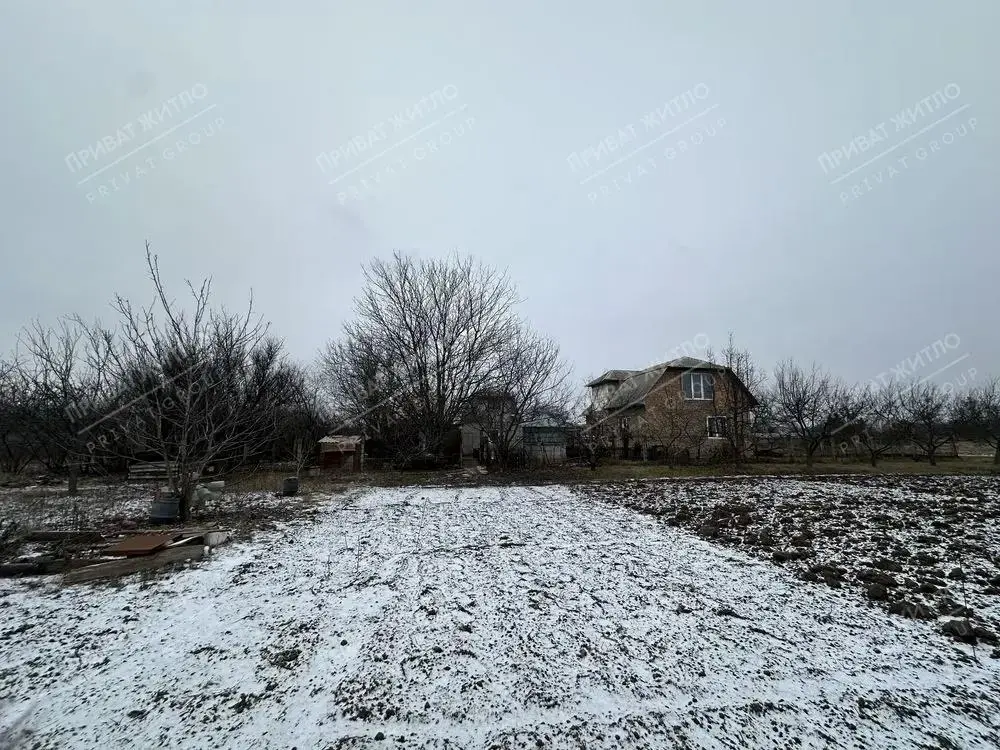 Будинок — Жуки