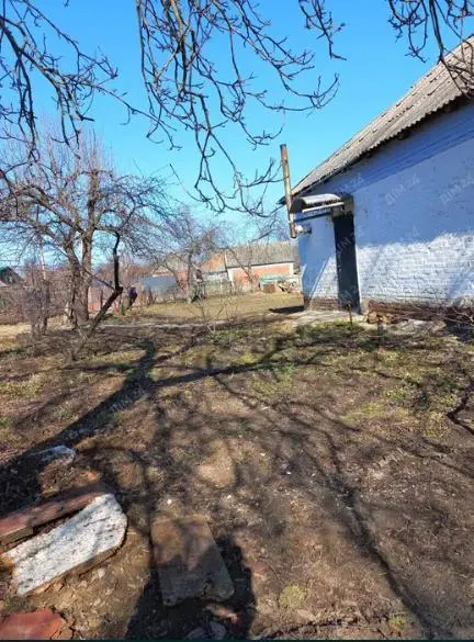 Будинок — Рибці