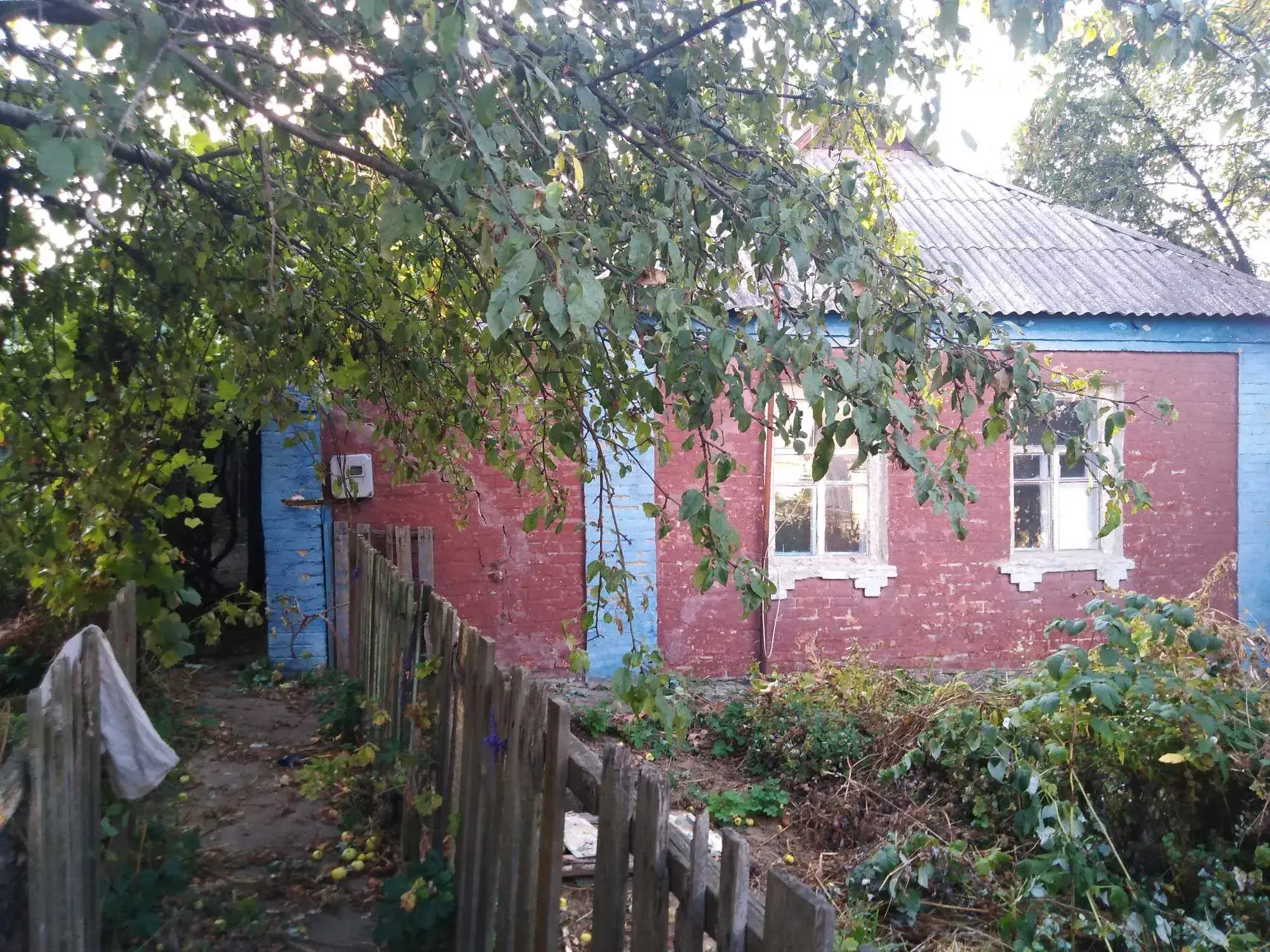 Будинок — Рибці