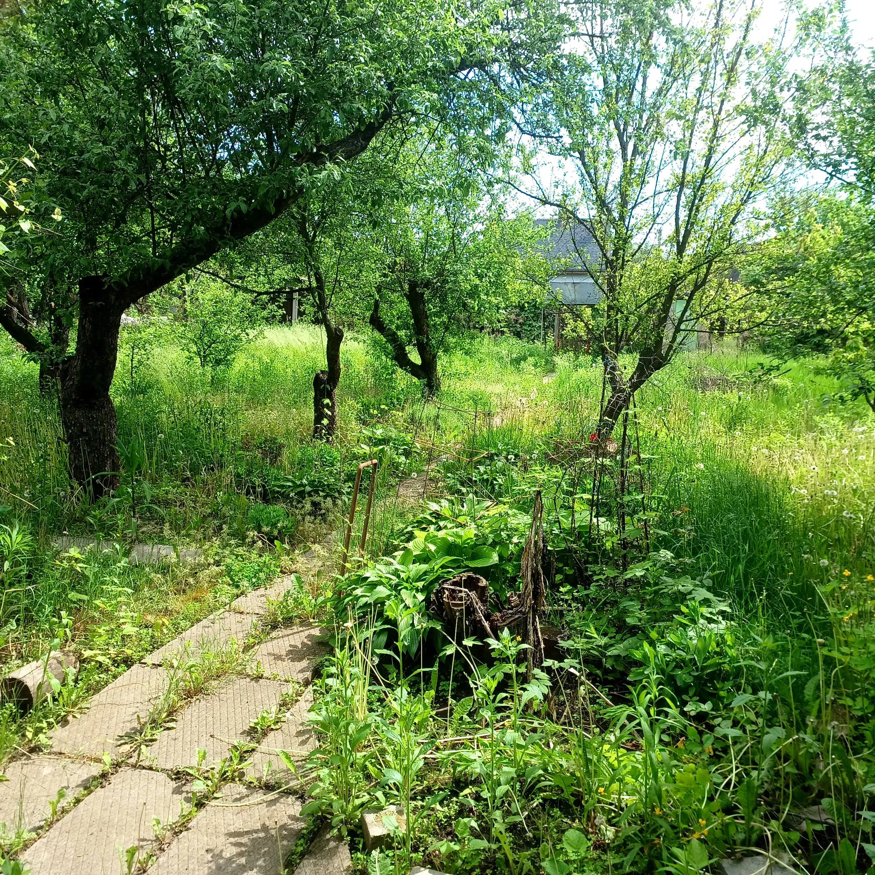 Дача — Вороніна / Затишне