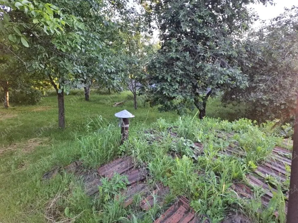 Будинок — Диканька
