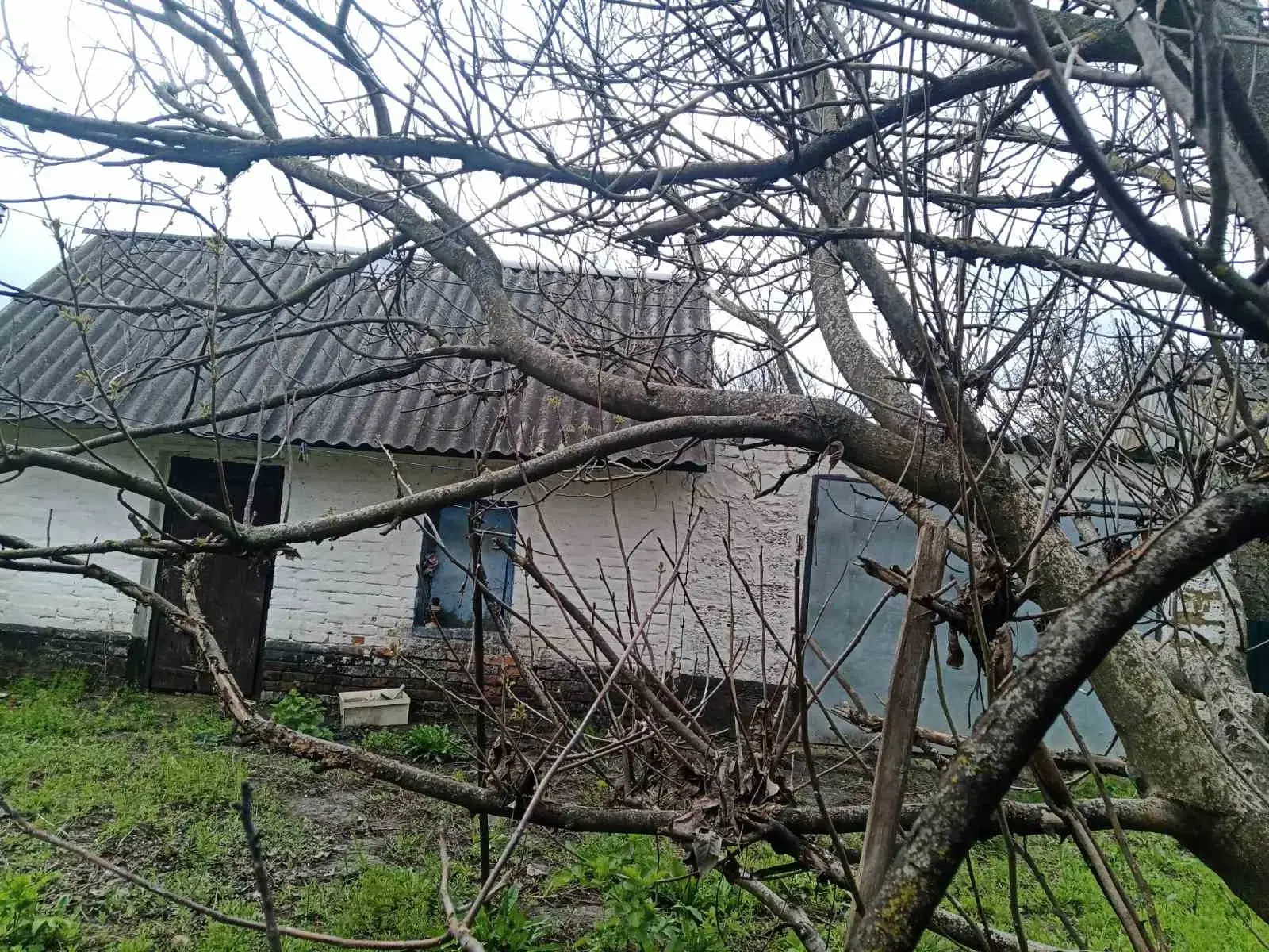 Будинок
