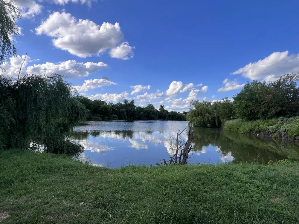 Будинок — Рибці