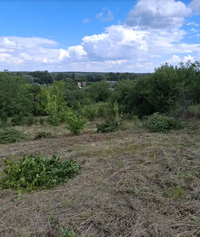 Ділянка — Патлаївка