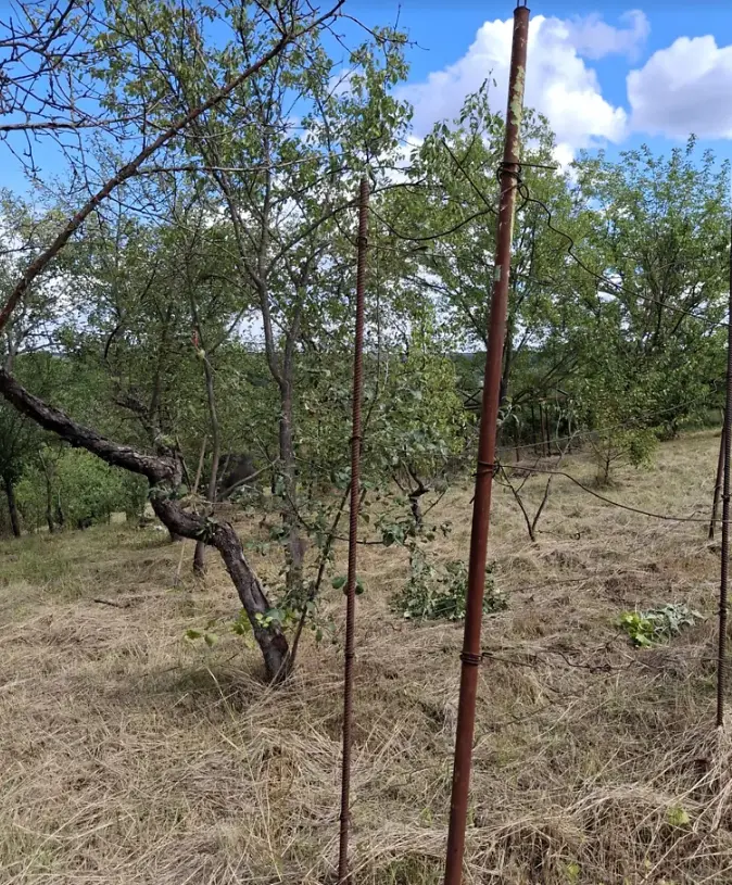 Ділянка — Патлаївка