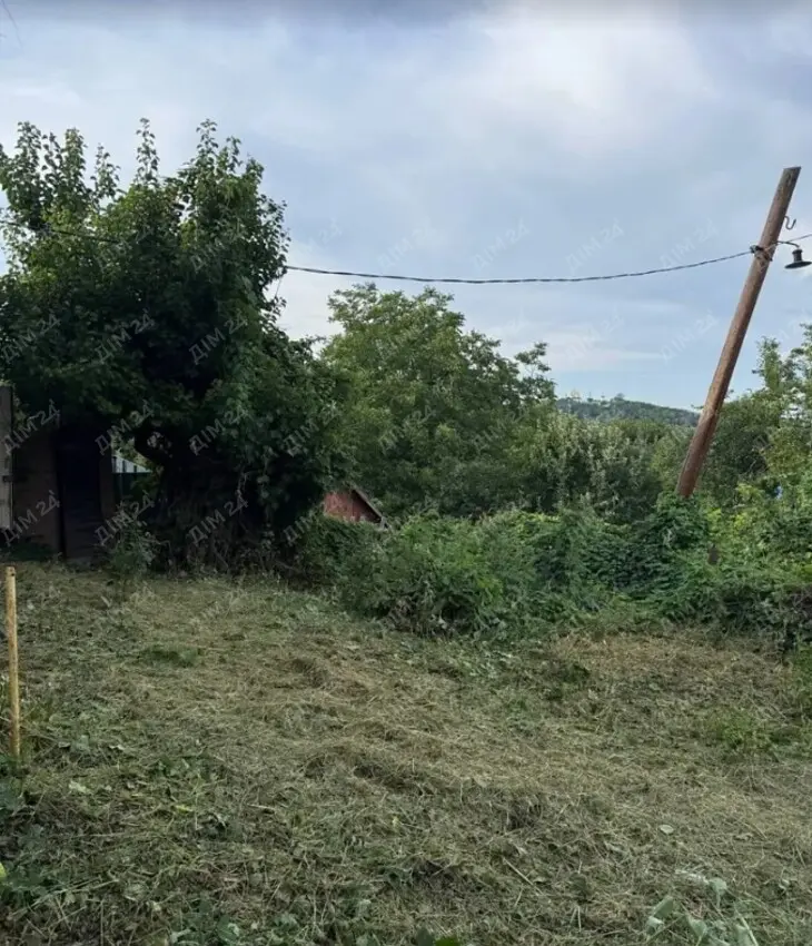 Будинок — Центр