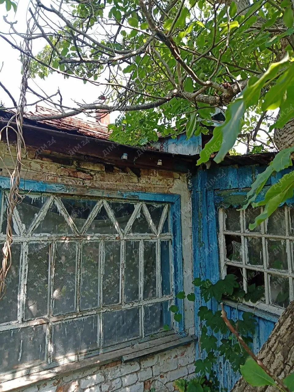 Будинок