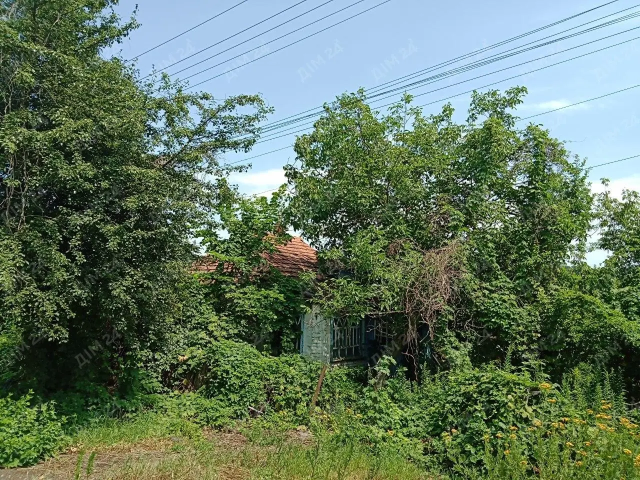 Будинок