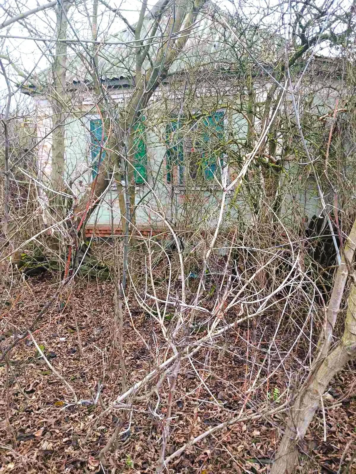Будинок — Вільховий Ріг