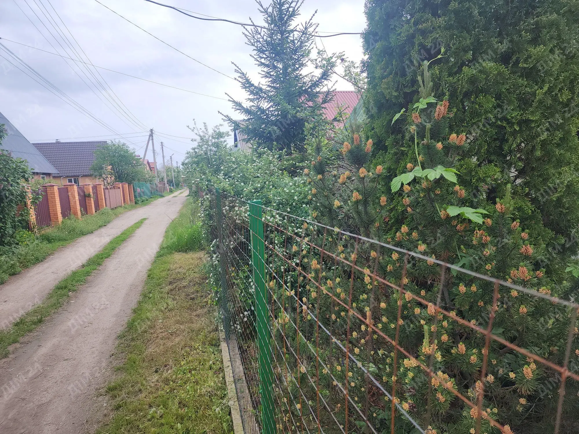 Дача — Вороніна / Затишне