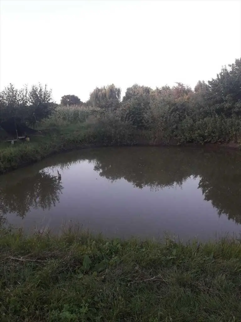 Будинок — Зорівка
