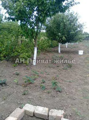 Ділянка