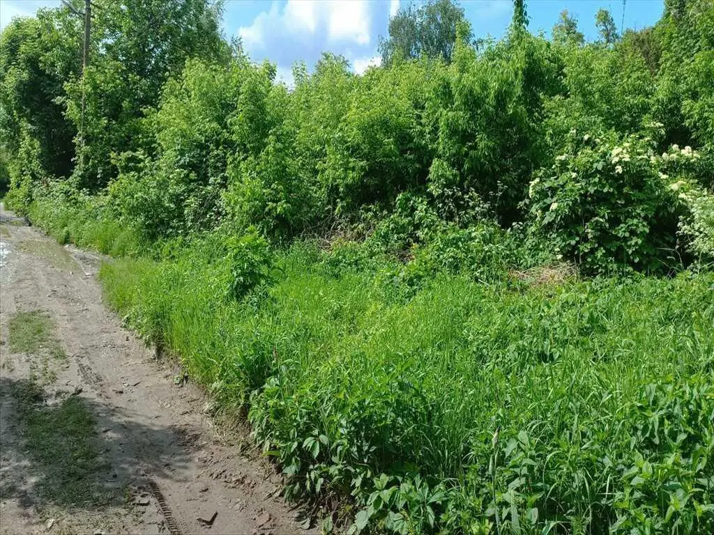 Ділянка